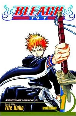 Bleach: Volume 1 (Manga)