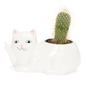 Lord Nermal Ceramic Planter